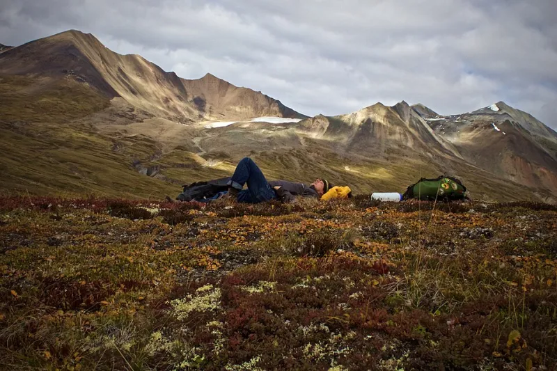 Survive the Morning After: A Broke Backpacker's Guide to Hostel Hangover Recovery